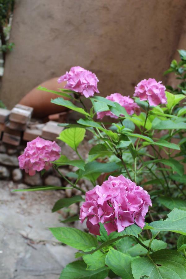 Il Giardino Dei Fiori Apartment แมนเดลโล เดล ลาริโอ ภายนอก รูปภาพ